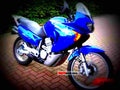 Honda XL 650 V Transalp 2001 5 motorbike A4 Photo Print