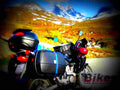 Honda XL 650 V Transalp 2002 4 motorbike A4 Photo Print