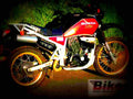 Honda XLV 750 R (reduced effect) 1984 1 motorbike A4 Photo Print