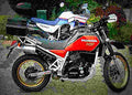 Honda XLV 750 R (reduced effect) 1984 3 motorbike A4 Photo Print