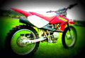 Honda XR 100 R 2002 6 motorbike A4 Photo Print