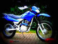 Honda XR 125 L 2003 1 motorbike A4 Photo Print