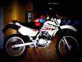 Honda XR 200 R 2002 3 motorbike A4 Photo Print