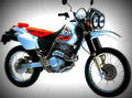 Honda XR 250 Baja 2002 4 motorbike A4 Photo Print