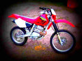 Honda XR 250 R 2002 3 motorbike A4 Photo Print