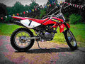 Honda XR 80 R 2002 1 motorbike A4 Photo Print