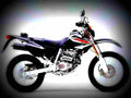 Honda XR 80 R 2002 4 motorbike A4 Photo Print