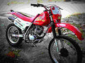 Honda XR 80 R 2002 6 motorbike A4 Photo Print