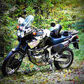 Honda XRV Africa Twin 2000 5 motorbike A4 Photo Print