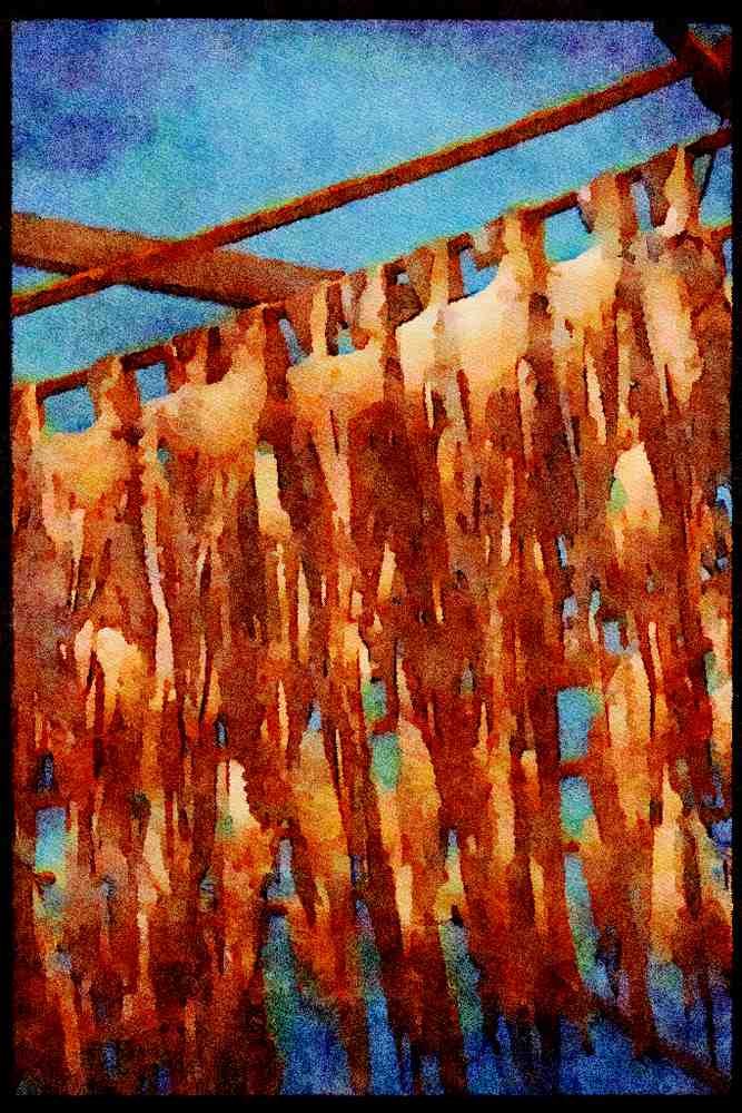 Hong Kong 279002 Sun Dried Squid A4 Limited Edition Watercolour Print