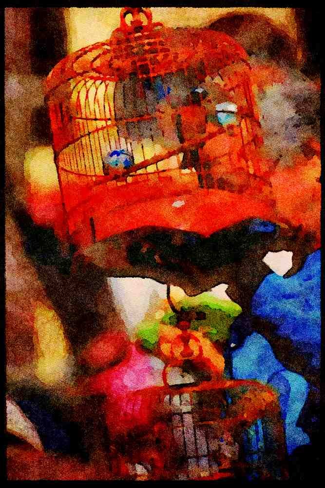 Hong Kong 279011 Bird Market A4 Limited Edition Watercolour Print