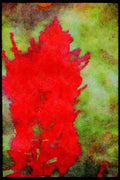 Hong Kong 279070 Fuchsia Celosia A4 Limited Edition Watercolour Print