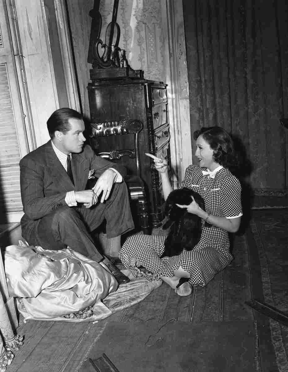 Hope Bob Cat & the Canary The 1 film star poster A4 Photo Print