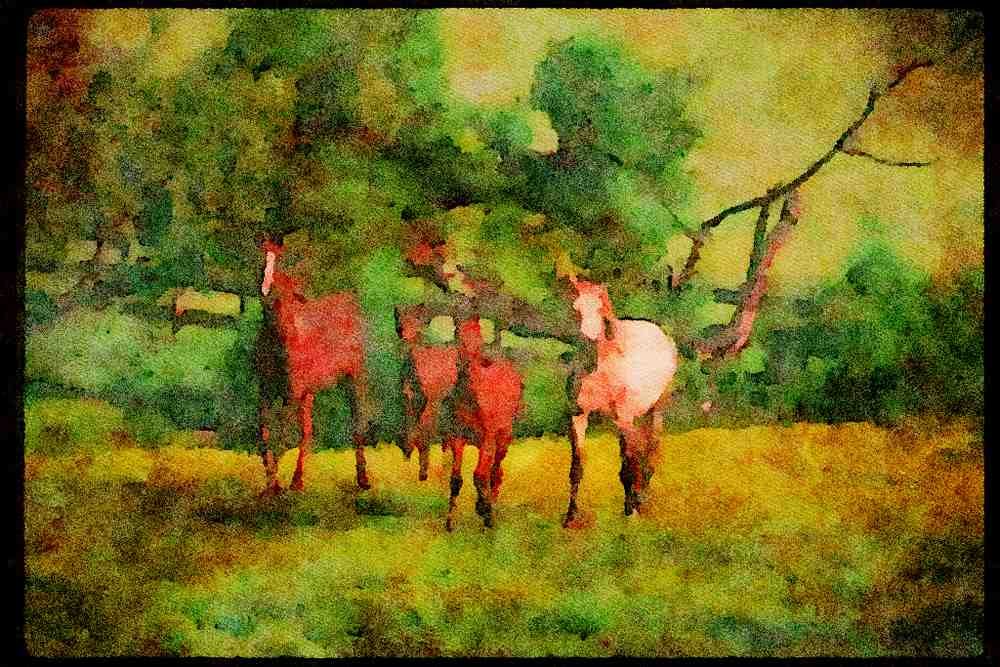 Horse 113006 Arabian Horses Mares With Foals In Yellow Flowers A4 Limited Edition Watercolour Print