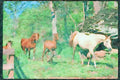 Horse 113012 Arabian Horses Mare With Foals A4 Limited Edition Watercolour Print