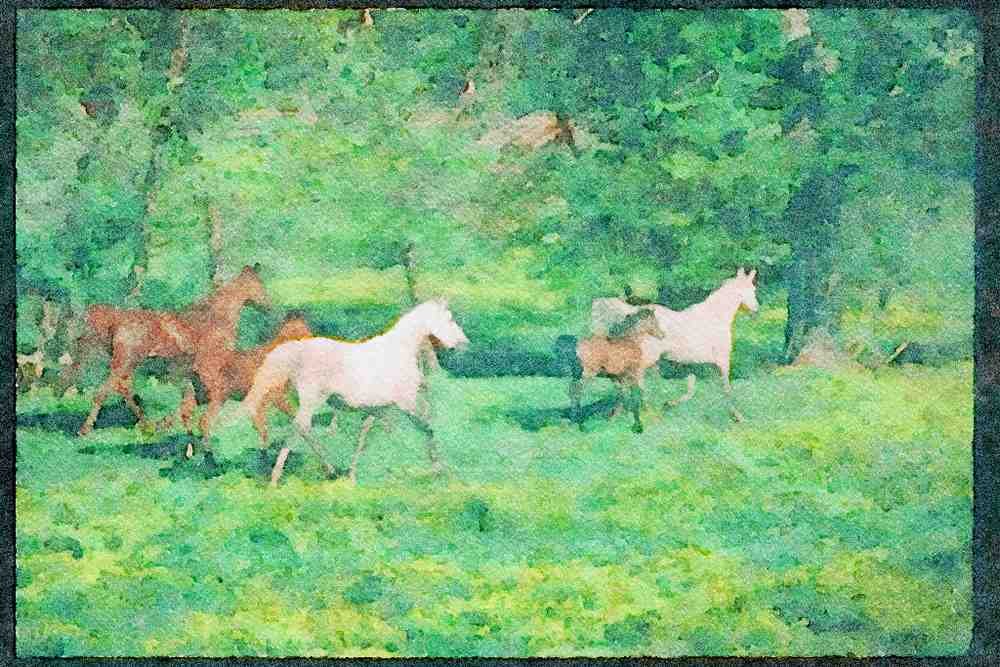 Horse 113018 Arabian Horses Mares With Foals In Yellow Flowers A4 Limited Edition Watercolour Print