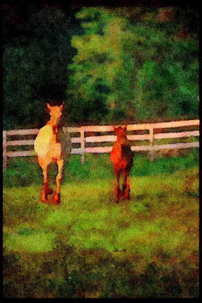 Horse 113033 Arabian Horses Mare With Foal A4 Limited Edition Watercolour Print