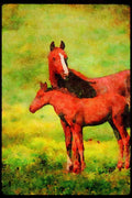 Horse 113053 Arabian Horses Mare With Foal A4 Limited Edition Watercolour Print