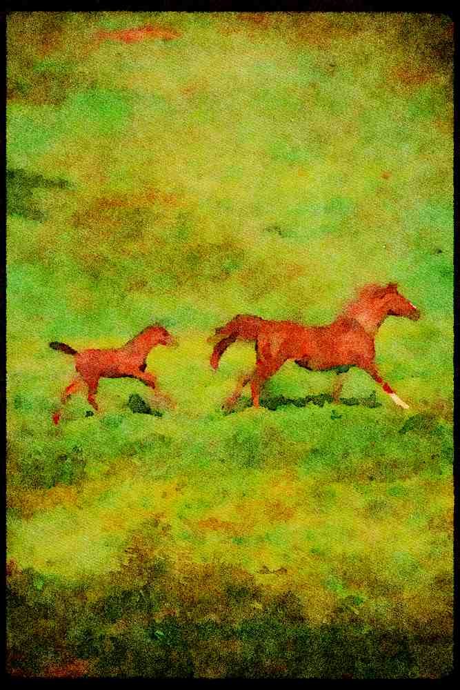 Horse 113057 Arabian Horses Mare And Foal Running A4 Limited Edition Watercolour Print