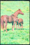Horse 113061 Arabian Horses Mare With Foal A4 Limited Edition Watercolour Print