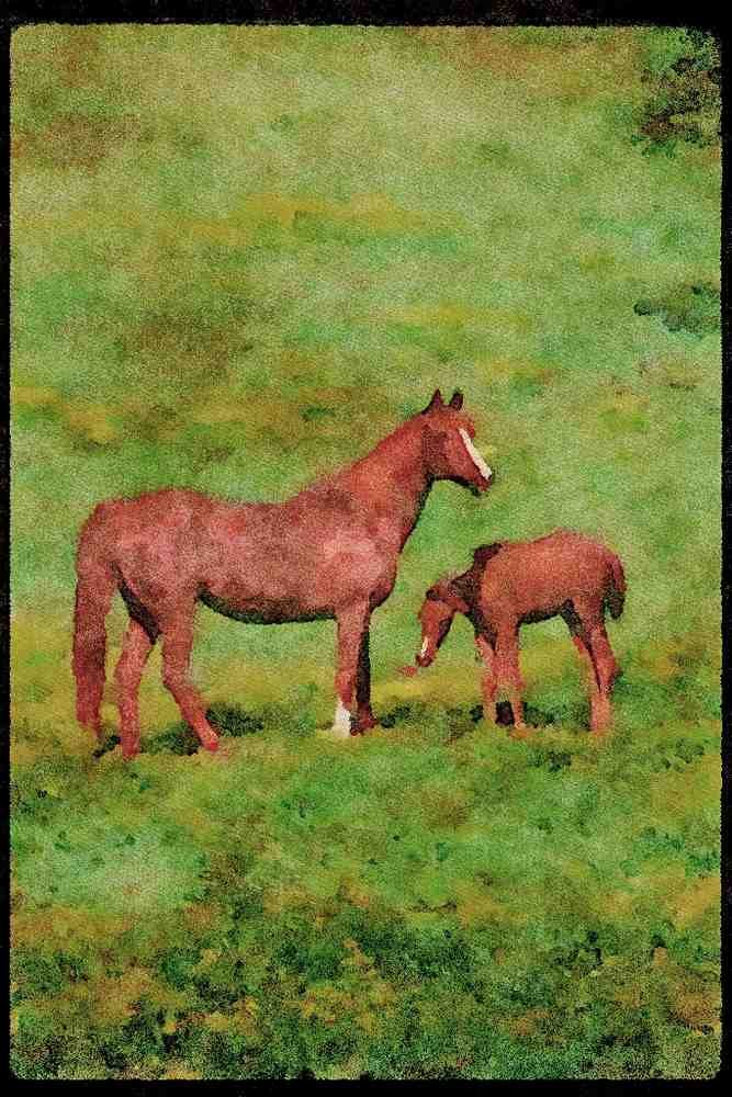 Horse 113080 Arabian Horses Mare With Foal A4 Limited Edition Watercolour Print