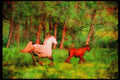 Horse 113086 Arabian Horses Mare And Foal Running A4 Limited Edition Watercolour Print