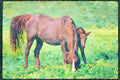 Horse 113090 Arabian Horses Mare With Foal A4 Limited Edition Watercolour Print