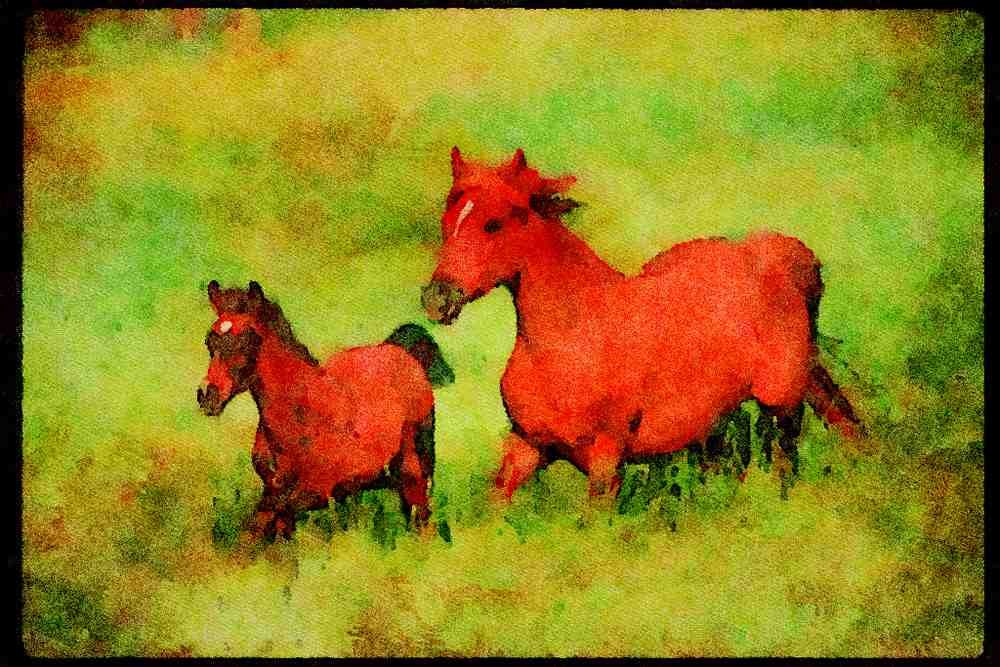 Horse 113096 Arabian Horses Mare And Foal Running A4 Limited Edition Watercolour Print