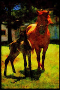 Horse 197000 American Saddlebred And Colt A4 Limited Edition Watercolour Print