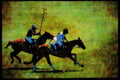 Horse 197008 Polo Horses A4 Limited Edition Watercolour Print