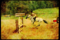 Horse 197014 Equestrian Rider A4 Limited Edition Watercolour Print