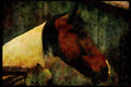 Horse 197018 Farm Horse A4 Limited Edition Watercolour Print