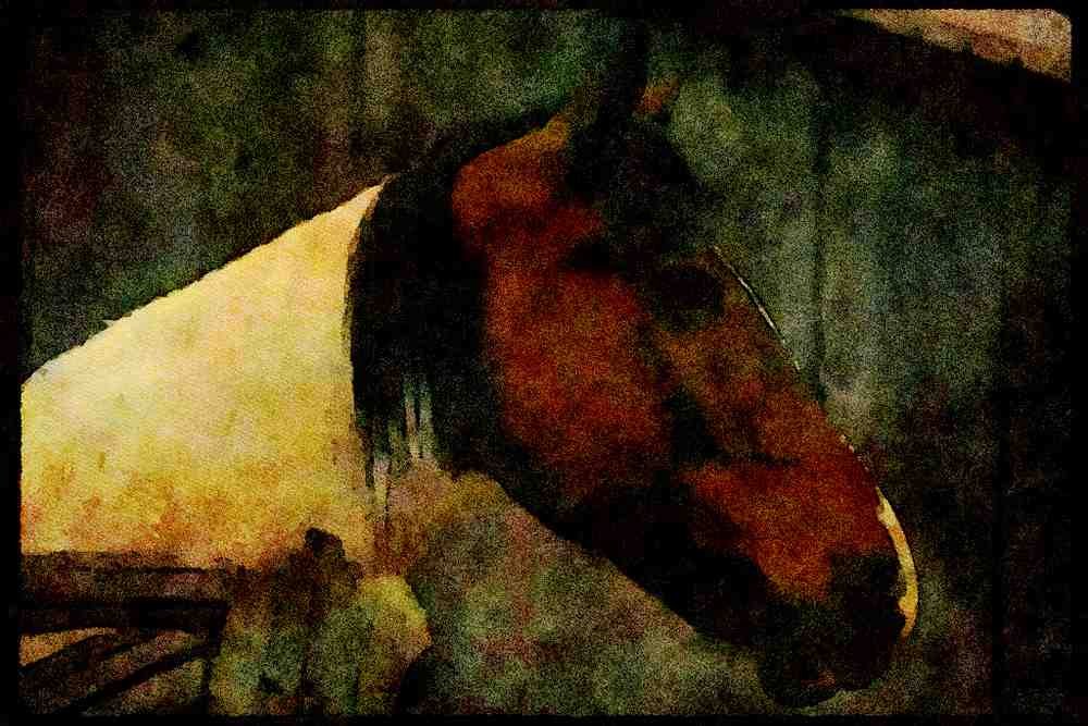 Horse 197018 Farm Horse A4 Limited Edition Watercolour Print