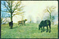 Horse 197021 Wild Horses A4 Limited Edition Watercolour Print