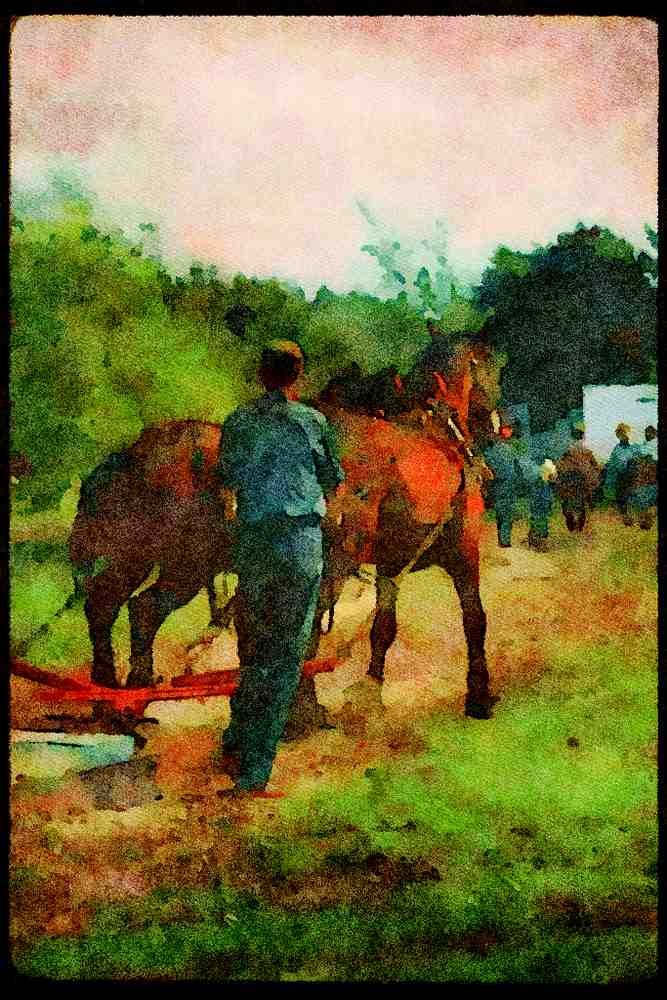 Horse 197023 Horse And Plow A4 Limited Edition Watercolour Print
