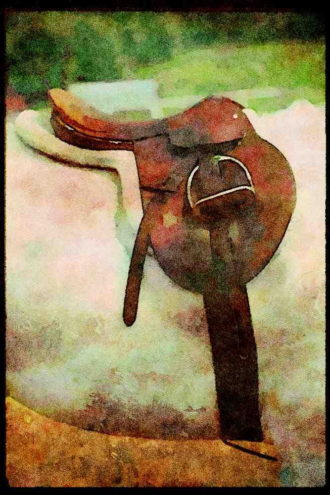 Horse 197024 Saddle A4 Limited Edition Watercolour Print