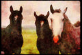 Horse 197026 Farm Horses A4 Limited Edition Watercolour Print