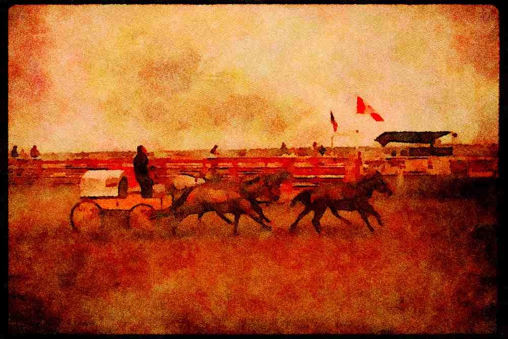 Horse 197028 Chuck Wagon Races A4 Limited Edition Watercolour Print
