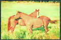 Horse 197036 American Saddlebreds A4 Limited Edition Watercolour Print