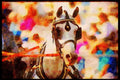 Horse 197044 Hackney A4 Limited Edition Watercolour Print