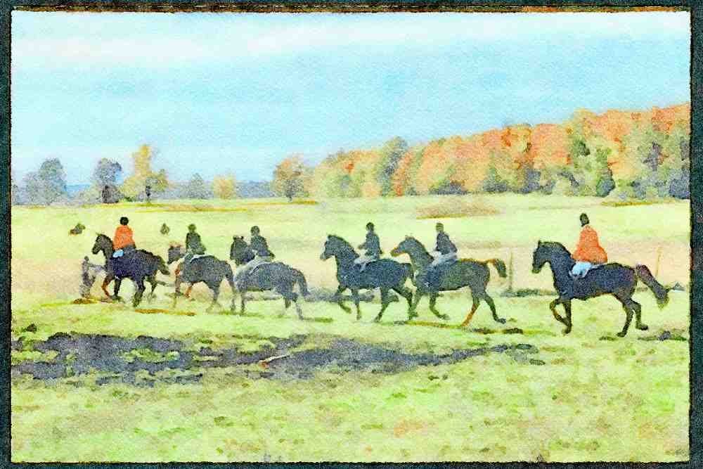 Horse 197047 Fox Hunt A4 Limited Edition Watercolour Print