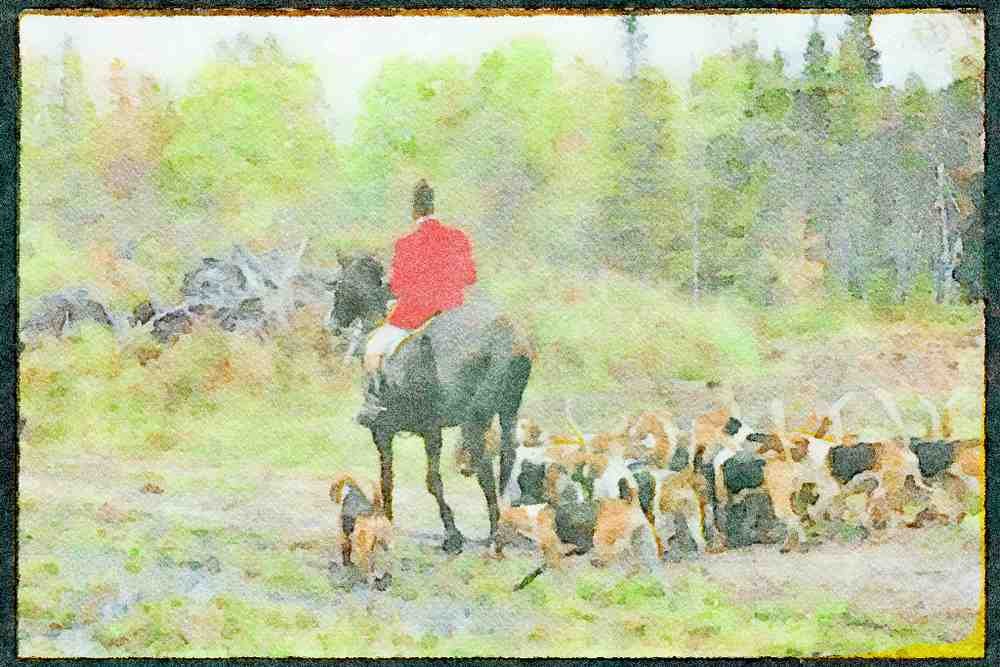 Horse 197048 Fox Hunt A4 Limited Edition Watercolour Print