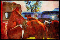 Horse 197050 Hunter (Thoroughbred cross) A4 Limited Edition Watercolour Print