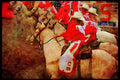 Horse 197059 Rodeo A4 Limited Edition Watercolour Print