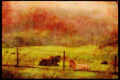 Horse 197060 Farm Horses A4 Limited Edition Watercolour Print