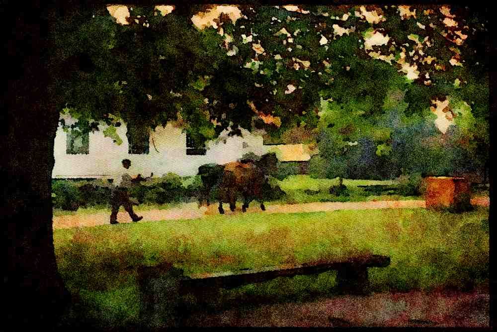 Horse 197063 Work Horses, Pioneer Days, Upper Canada Village A4 Limited Edition Watercolour Print