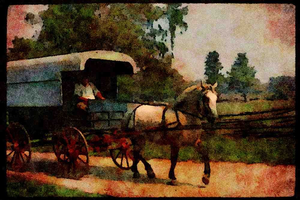 Horse 197066 Horse And Carriage A4 Limited Edition Watercolour Print