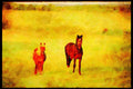 Horse 197067 Farm Horses A4 Limited Edition Watercolour Print