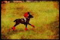 Horse 197069 Polo Player A4 Limited Edition Watercolour Print