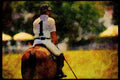 Horse 197070 Polo Player A4 Limited Edition Watercolour Print